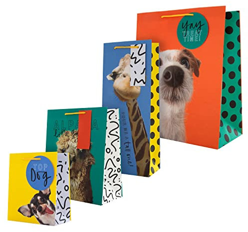 Hallmark Multi Occasion Gift and Bottle Bags Bundle - 1 Large, 1 Medium and 1 Small Gift Bag, with 1 Bottle Bag in 4 Funny Animal Designs