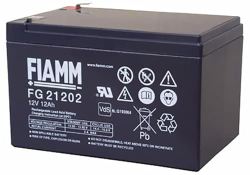 Fiamm FG21202 Batterie au plomb 12 V 12 Ah