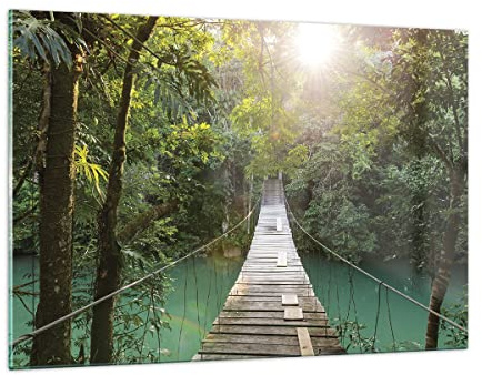 Bilder auf Glas 120x80cm Wandbild Glasdruck Botanik Landschaften - 4397