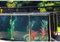 Großes Aquarium aus PVC-Leinwand, für Pool- und Teichfische und Wassertiere, Stahlrahmen, klares Sichtfenster, einfache Montage (Farbe: Blau, Größe: 50 x 40 x 30 cm)
