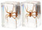 PartyKindom 2st Harzdekoration Briefbeschwerer Aus Kunstharz Insekt Im Harz Spinnenmodellsammlung Spinne Probiert Steine Desktop-ornament Insektenschmuck Reisen Drinnen Metall Schüssel