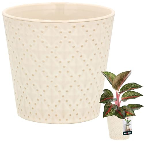 KOTARBAU® Pot De Fleurs Trapézoïdal Vintage en Céramique Émaillée Crème ⌀ 12 Cm