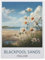 Blackpool Sands England，Jigsaws Puzzles 1000 Pieces Classic Jigsaws Educational Games Toys，Best Gift for Adults and Kids（50x70cm）-AC4