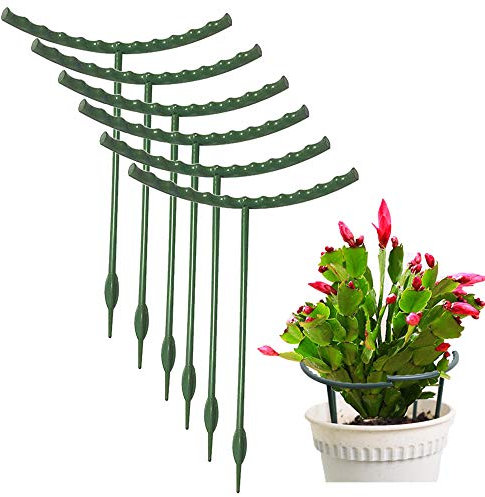 Lot de 10 piquets de Support pour Plantes, Demi-Ronds en métal, Anneau de Support en Plastique pour Pot de Fleurs, Treillis grimpant pour Petites Plantes, Fleurs, légumes, Plantes d'intérieur à