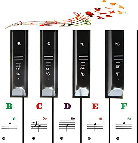 Color Piano Stickers for Kids Beginners 49/54/61/88 Key Keyboards Helps Beginners Know Where Keys Are and Finger Placement Too -Easy to Paste Without Cutting