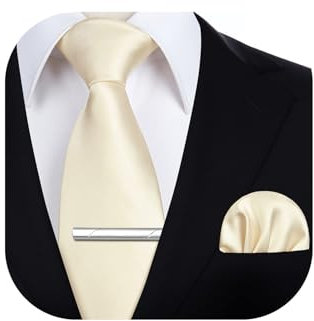 HISDERN Krawatten Herren Elfenbein Krawatte mit Einstecktuch und Krawattenklammer Set Hochzeit Klassische Formelle Einfarbige Schlips für Männer