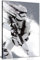 Panther Print Star Wars Stormtrooper-Porträt, Schwarz-Weiß-Leinwand-Kunstdruck (45,7 x 30,5 cm), Wohnzimmer