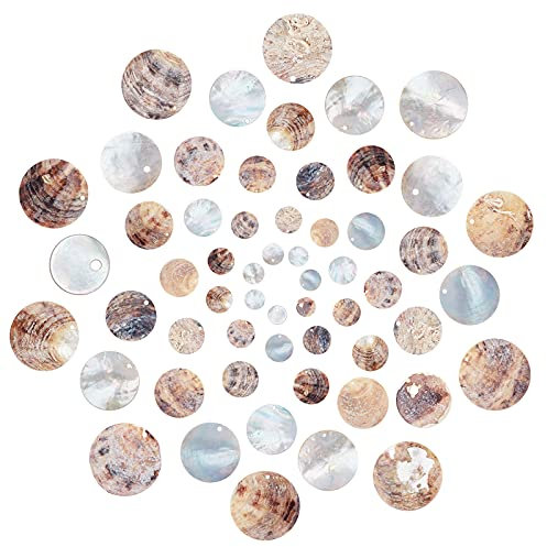 SUNNYCLUE 1 Boîte 60PCS Naturel Plat Rond Coquillages Pendentif Moule Coquille Pièce Goutte Charme Perles Fabrication de Bijoux Fournitures pour Collier Bracelet Boucle d'oreille Maison Décoration