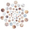 SUNNYCLUE 1 Boîte 60PCS Naturel Plat Rond Coquillages Pendentif Moule Coquille Pièce Goutte Charme Perles Fabrication de Bijoux Fournitures pour Collier Bracelet Boucle d'oreille Maison Décoration