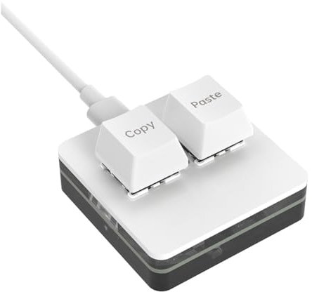 Pylorixz Mini clavier personnalisé OSU Macro RGB à 2 touches Clavier mécanique programmable pour travailler dans des jeux, type B