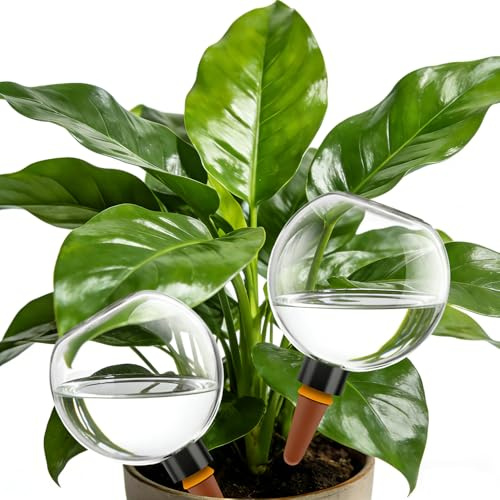 Luxoraiova Lot de 4 boules d'arrosage - 500 ml - Arrosage automatique des plantes - Boules d'eau pour plantes, fleurs et jardin - Idéal en vacances - En polypropylène - Cône d'argile respirant