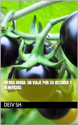 Hierba Mora: Un Viaje por su Historia y Beneficios