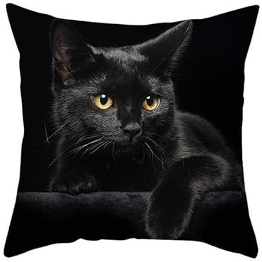 EHOMERY Kissenbezüge Indie Kissenhülle Zum Bedrucken Polyester Kissenbezüge Sofakissen Kissenbezug Set Vintage Die Katze Zierkissenbezüge Sofadekoration Schwarz 40x40cm