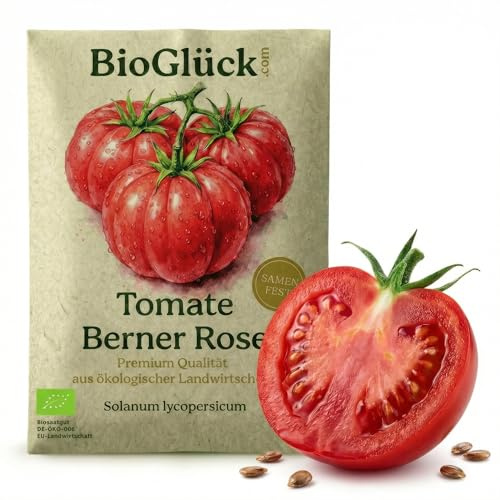 BioGlück Bio-Tomatensamen Berner Rose | Samenfest, Legendäre Fleischtomate, Gourmet-Aroma, Für Gewächshaus & Freiland