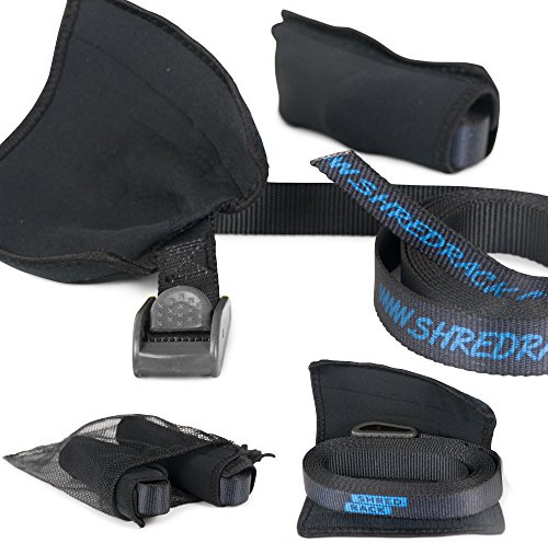SHRED RACK Spanngurt Premium Zurrgurt für Transport mit Klemmschloss - 2 Stück Setpreis hochwertig (2m Länge, Schwarz, 250 daN)