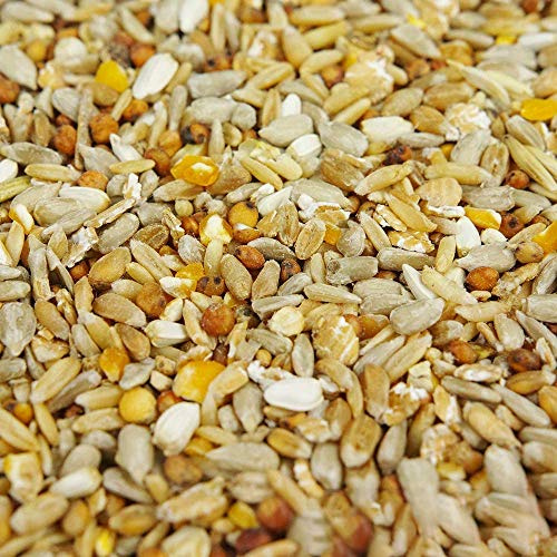 BusyBeaks No Mess Seed Mix | Garden Wild Bird Food Mixture | Husk and Shell Free Seeds | Premium Quality Balanced Formula | Protein-Rich Great Source of Energy | Attracts Various Birds (2.5kg)