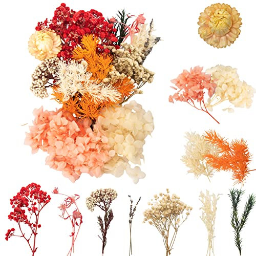 LAUMOE Trockenblumen Set - Getrocknete Blumen Zum Basteln Klein für Kunst DIY Harz Scrapbooking Handwerk Karten Machen (Stil 1)