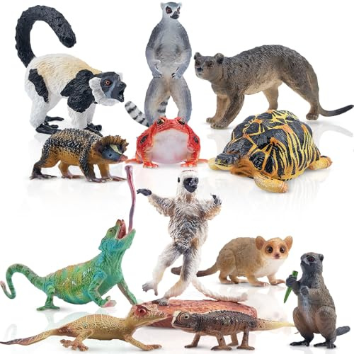 toymany 12PCS Madagascar Animal Figurines, Realistic Forest Animals Figures, Jungle Zoo Animal Figure Set Includes Lemur Tortoise Chameleon Verreaux's Sifaka, Christmas Birthday Gift Collection Toy