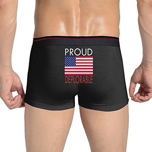 hs kamine Schamotte 40x20x2 cm Schamotteplatte (1)