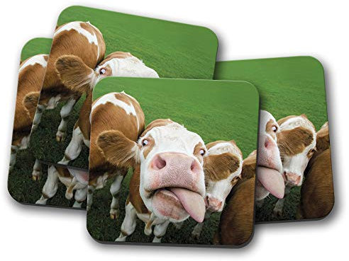 Lot de 4 dessous-de-verre humoristique Motif vaches de bétail