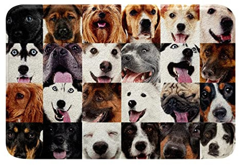 Niedlich Hund rutschfest Badezimmerteppich Hippie Hund Welpe Badematte 40x60cm Karikatur Haustier Hunde Badteppiche Kinder Bunte Raumdeko Kawaii Tiermotiv Leichter Badvorleger Maschinenwaschbar