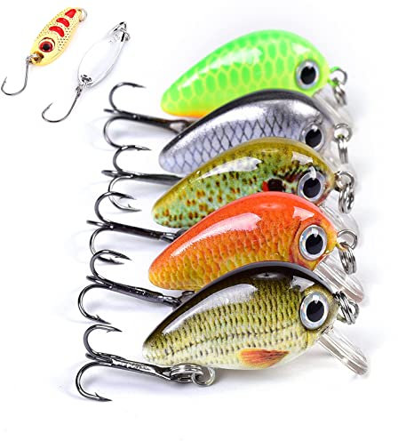 Steinn mini Wobbler Crankbait Kunstköder 5 Stück Set | Raubfisch Zander Barsch Angeln | 1.6g 2.5cm | mit Köderbox | mit 2 Blinker
