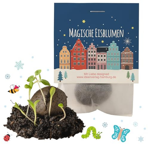 Ideenverlag HAMBURG 10x Winterlandschaft Winter Samenbomben/Treiben aus bei Kälte/kleine Geschenke Kollegen Saatbomben Gäste Gastgeschenk Kinder Dankeschön Kleinigkeiten