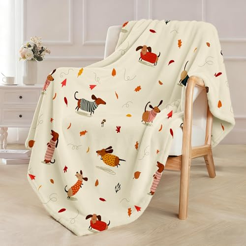 Chickwin Kuscheldecke Flauschig Decke 150x200 cm XL Flanell Fleecedecke Dackel, Wohndecke Blanket Weich und Warme als Sofadecke Couchdecke Tagesdecke