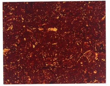 FLEOR 20X17cm Akustikgitarre Schlagbrett Material Kratzfeste Blankofolie Selbstklebende Unterlage für die meisten Akustikgitarren Custom, Rote Schildkröte