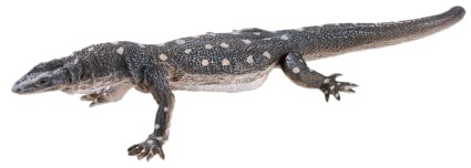 MOJO Perentie Lizard Collectable Wildlife Reptile Animal Toy Figure