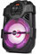 Enceinte Portable 8/20cm 250W avec USB/Bluetooth/FM - Party Light & Sound HANDY250