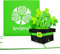 Pop Up Karte „Irland – Irish Shamrocks “ - 3D Ireland Grußkarte als Souvenir, Geburtstagskarte, Reisegutschein, Einladung zur Städtereise Dublin & Rundreise Irland
