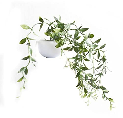 Yunso Simulation Pflanze Kühlschrankmagnete,Mini Bonsai Sukkulenten Dekorative Magnet,Für Trockenlöschbrett, Schränke, Whiteboards, Fotos, Hinweis,Wohnkultur,Geschenke Für Erwachsene Kinder