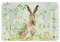 Nt Hare Medium Worktop Protector 30 X 40Cm