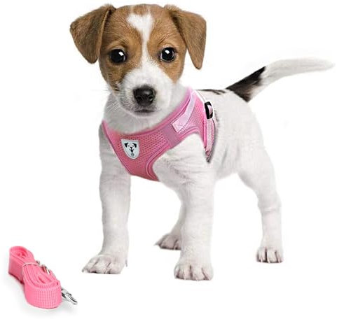 Pet's Playground Pettorina per cani di piccola e media taglia| Rosa | S