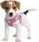 Pet's Playground Small Dog Harness | No Pull | Puppy & Extra Small | Pink