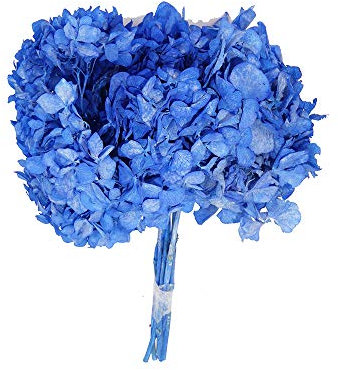 zelda bomobniere Mazzo Fiore Ortensia Stabilizzata con Steli Naturale Colorata Diametro 20 Cm (Blu)