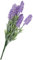 Mopec Lavendelzweig, 7 Blumen, 6,5 x 34 cm, Einheitsgröße, Lavendelfarben