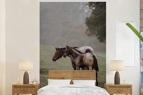 Selbstklebend Tapete Wandpapier Wandaufkleber Fototapete Tapeten Wanddeko 180x280 cm Pferde - Natur - Nebel