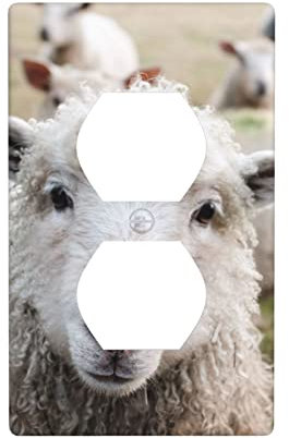 Niedliche Schaf-Lamm-Wandplattenabdeckung – dekorative Einzel-Duplex-Aufnahme, elektrische Kunststoff-Wandplatte, Schlafzimmer, Wohnzimmer, niedliche Dekoration, Frontplatte, 11,4 x 7,9 cm.
