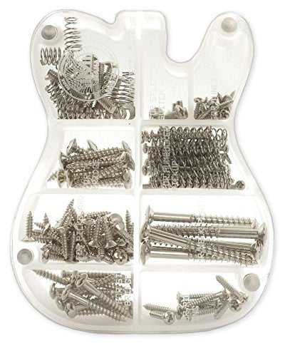 MAKA Guitar Screw Kit Assortment with Custom Acrylic Storage Box for Electric Guitar Bridge, Pickup, Pickguard, Tuner, Switch, Neck Plate, with Springs, Chrome