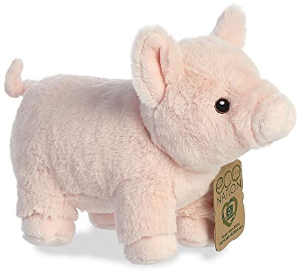 Aurora - Eco Nation - 9.5 Pig