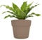 Tecnokit: Magnetische Vase aus Kunststoff, hängend, Durchmesser 14 cm, Weiß, für Eisen, Magnet Vase für Blumenkasten (Taupe)