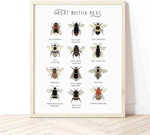 ORCOW Wandkunst-Dekor-Poster, Hummel-Aquarellmalerei, Druck, Insekt, natürliches Bauernhaus, Wandkunst, Bild, Entomologie, Kunstposter, Kinderzimmer, Wanddekoration, Drucke, Gemälde – 30 x 40 cm