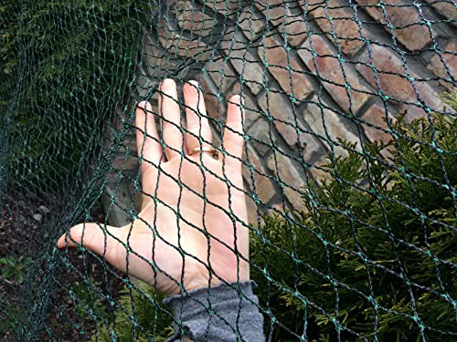 CHOMIK Schutznetz für Teich, Obst & Gemüse, gegen Schmutz, Laub & Vögel, Engmaschiges Vogelschutznetz für Garten, Teichnetz, Gartennetz, 6 x 10 m (60 m²)
