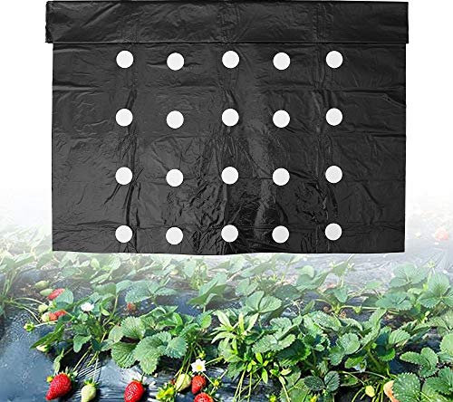 Keyohome - Tela de fieltro para jardín (10 x 0,95 m, fieltro geotextil de jardín, con agujeros de plantación, membrana PE permeable anti UV, película de plástico para huerto y plantas