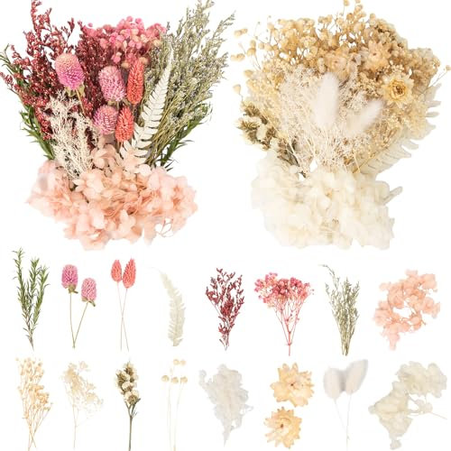 LAUMOE 2 Sätze Trockenblumen zum Basteln, Getrocknete Blumen Weiß Lila für Kunst und Dekoration