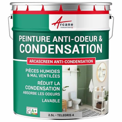 Peinture anti condensation, anti odeur, moisissure - 2.5 L Telegris 4 - RAL 7047 - ARCANE INDUSTRIES
