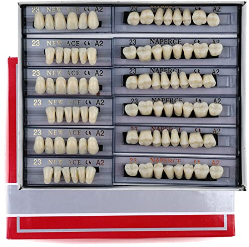 168 Pieces False Teeth Dental Complete Acrylic Resin Denture Teeth, 6 Sets Whole Teeth Synthetic Polymer Denture Tooth, 23 Shade A2 Upper + Lower Dental Materials for Replacement, DIY, or Halloween