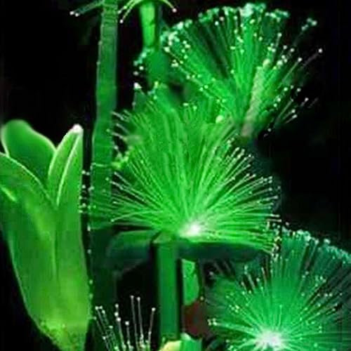 100 Unids Luz Nocturna Emisora Esmeralda Fluorescente Flor Semilla Balcón Jardín Decoración Flor Fruta Árbol Vegetal Semillas Semillas de flores fluorescentes# 100pcs